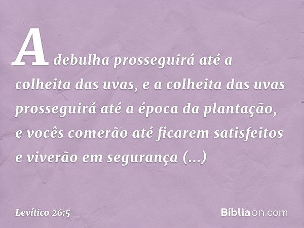 A debulha prosseguirá até a colheita das uvas, e a colheita das uvas prosseguirá até a época da plantação, e vocês comerão até ficarem satisfeitos e vive­rão em