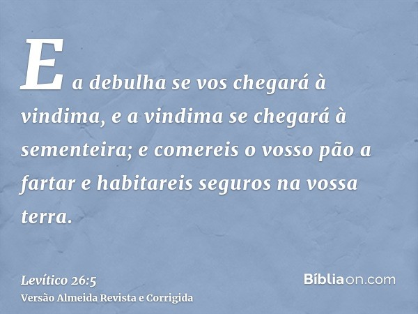 E a debulha se vos chegará à vindima, e a vindima se chegará à sementeira; e comereis o vosso pão a fartar e habitareis seguros na vossa terra.