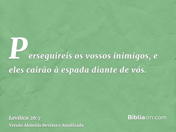 Perseguireis os vossos inimigos, e eles cairão à espada diante de vós.