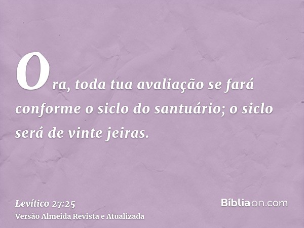 Ora, toda tua avaliação se fará conforme o siclo do santuário; o siclo será de vinte jeiras.