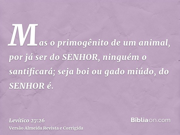 Mas o primogênito de um animal, por já ser do SENHOR, ninguém o santificará; seja boi ou gado miúdo, do SENHOR é.