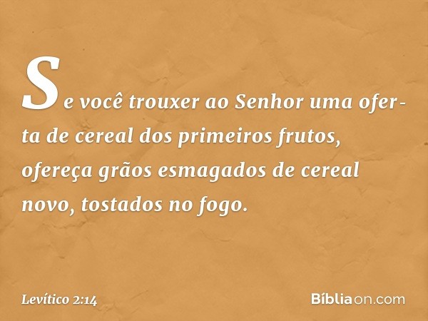 "Se você trouxer ao Senhor uma ofer­ta de cereal dos primeiros frutos, ofereça grãos esmagados de cereal novo, tostados no fogo. -- Levítico 2:14