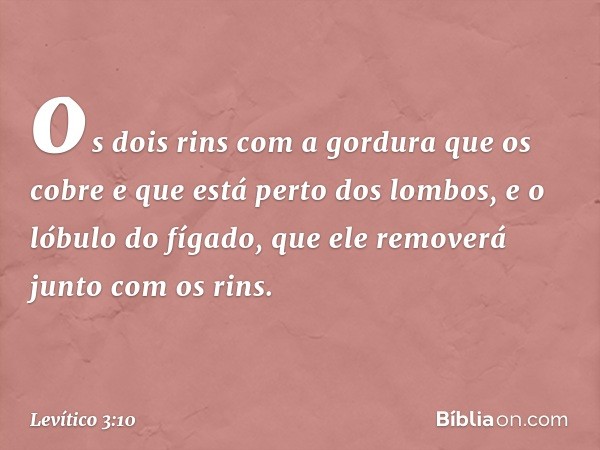 os dois rins com a gordura que os cobre e que está perto dos lom­bos, e o lóbulo do fígado, que ele removerá junto com os rins. -- Levítico 3:10