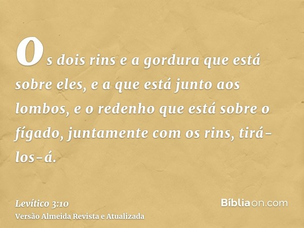 os dois rins e a gordura que está sobre eles, e a que está junto aos lombos, e o redenho que está sobre o fígado, juntamente com os rins, tirá-los-á.