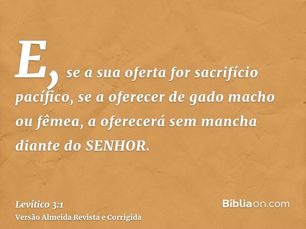 E, se a sua oferta for sacrifício pacífico, se a oferecer de gado macho ou fêmea, a oferecerá sem mancha diante do SENHOR.