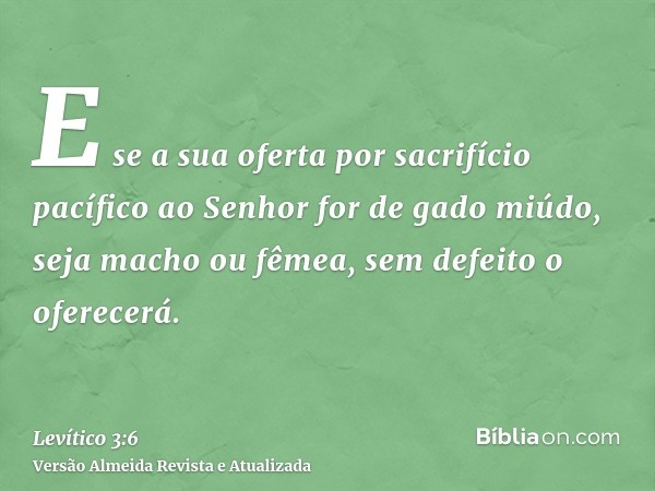 E se a sua oferta por sacrifício pacífico ao Senhor for de gado miúdo, seja macho ou fêmea, sem defeito o oferecerá.