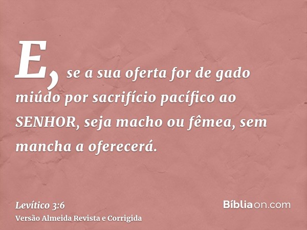 E, se a sua oferta for de gado miúdo por sacrifício pacífico ao SENHOR, seja macho ou fêmea, sem mancha a oferecerá.
