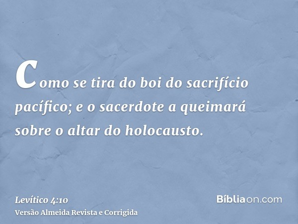 como se tira do boi do sacrifício pacífico; e o sacerdote a queimará sobre o altar do holocausto.