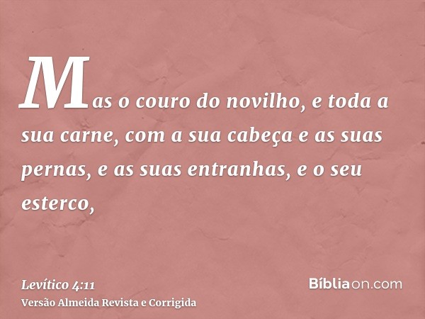 Mas o couro do novilho, e toda a sua carne, com a sua cabeça e as suas pernas, e as suas entranhas, e o seu esterco,