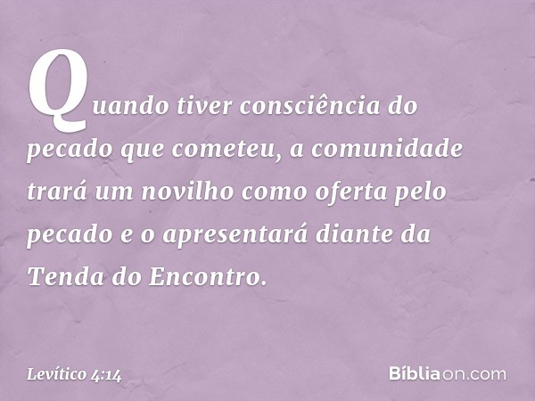 Quando tiver consciência do pecado que cometeu, a comunidade trará um novilho como oferta pelo pecado e o apresenta­rá diante da Tenda do Encontro. -- Levítico 