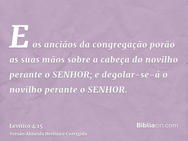 E os anciãos da congregação porão as suas mãos sobre a cabeça do novilho perante o SENHOR; e degolar-se-á o novilho perante o SENHOR.