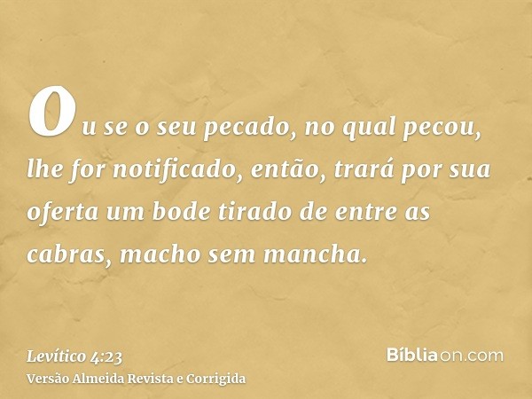 ou se o seu pecado, no qual pecou, lhe for notificado, então, trará por sua oferta um bode tirado de entre as cabras, macho sem mancha.