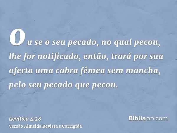 ou se o seu pecado, no qual pecou, lhe for notificado, então, trará por sua oferta uma cabra fêmea sem mancha, pelo seu pecado que pecou.