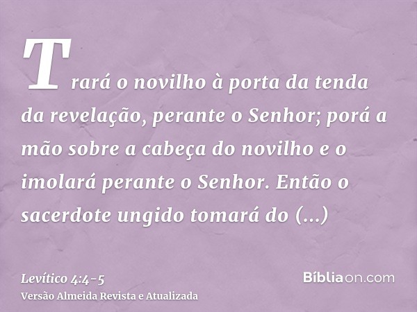 Trará o novilho à porta da tenda da revelação, perante o Senhor; porá a mão sobre a cabeça do novilho e o imolará perante o Senhor.Então o sacerdote ungido toma