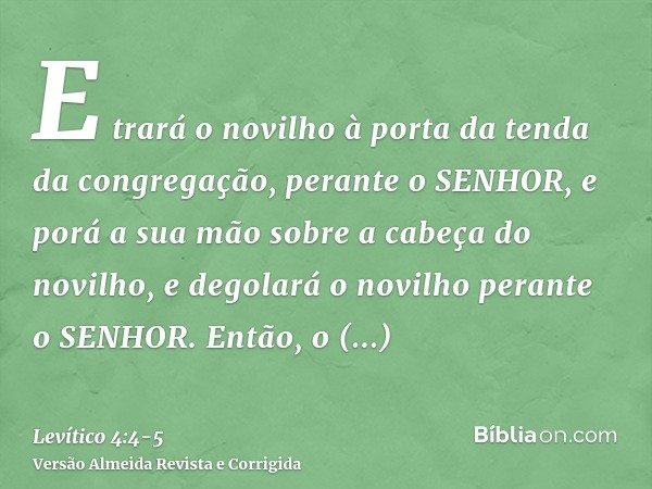 E trará o novilho à porta da tenda da congregação, perante o SENHOR, e porá a sua mão sobre a cabeça do novilho, e degolará o novilho perante o SENHOR.Então, o 