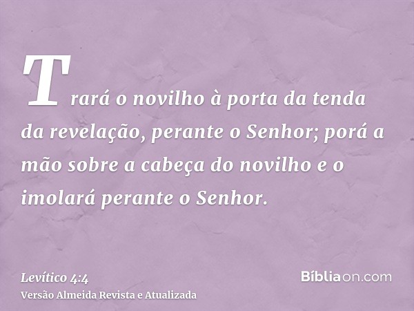 Trará o novilho à porta da tenda da revelação, perante o Senhor; porá a mão sobre a cabeça do novilho e o imolará perante o Senhor.