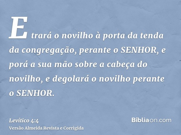 E trará o novilho à porta da tenda da congregação, perante o SENHOR, e porá a sua mão sobre a cabeça do novilho, e degolará o novilho perante o SENHOR.