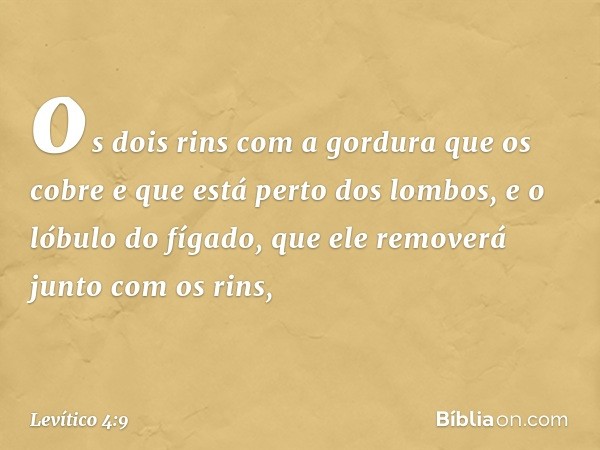 os dois rins com a gordura que os cobre e que está perto dos lom­bos, e o lóbulo do fígado, que ele removerá junto com os rins, -- Levítico 4:9