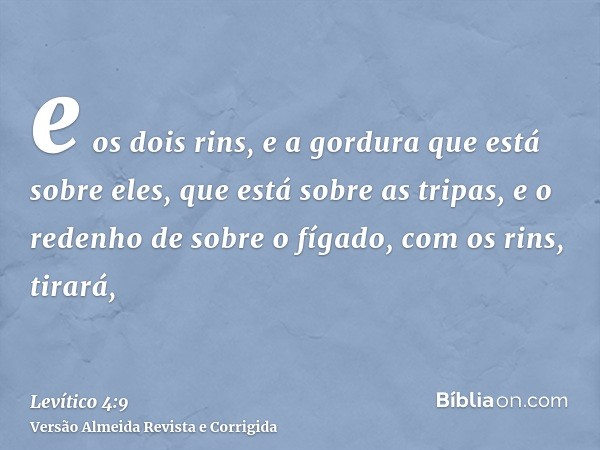 e os dois rins, e a gordura que está sobre eles, que está sobre as tripas, e o redenho de sobre o fígado, com os rins, tirará,