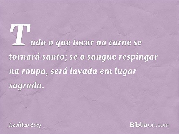 Tudo o que tocar na carne se tornará santo; se o sangue respingar na roupa, será lavada em lugar sagrado. -- Levítico 6:27