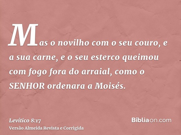Mas o novilho com o seu couro, e a sua carne, e o seu esterco queimou com fogo fora do arraial, como o SENHOR ordenara a Moisés.