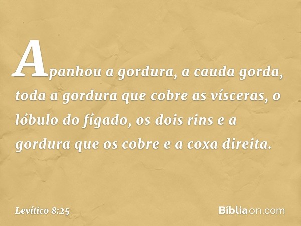 Apa­nhou a gordura, a cauda gorda, toda a gordura que cobre as vísceras, o lóbulo do fígado, os dois rins e a gordura que os cobre e a coxa direita. -- Levítico