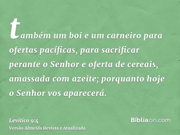 também um boi e um carneiro para ofertas pacíficas, para sacrificar perante o Senhor e oferta de cereais, amassada com azeite; porquanto hoje o Senhor vos apare