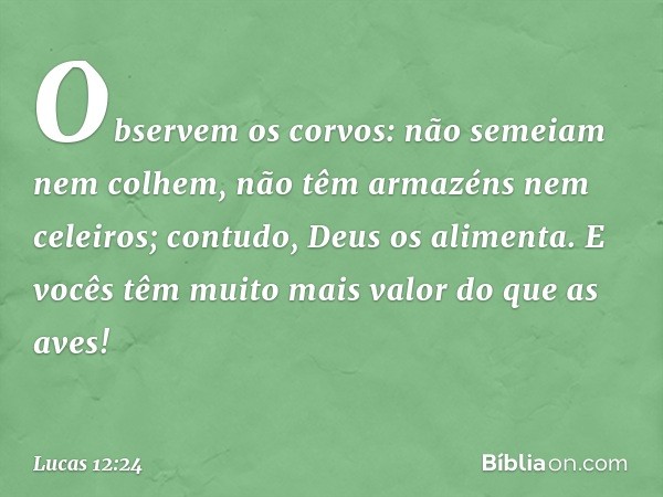 Observem os corvos: não semeiam nem colhem, não têm armazéns nem celeiros; contudo, Deus os alimenta. E vocês têm muito mais valor do que as aves! -- Lucas 12:2