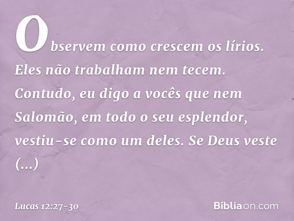 "Observem como crescem os lírios. Eles não trabalham nem tecem. Contudo, eu digo a vocês que nem Salomão, em todo o seu esplendor, vestiu-se como um deles. Se D