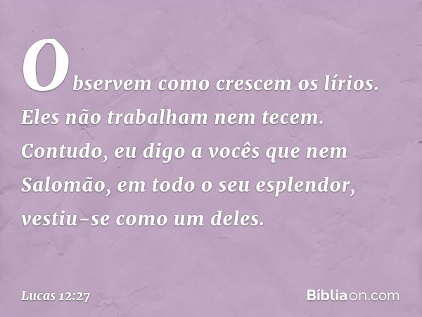 "Observem como crescem os lírios. Eles não trabalham nem tecem. Contudo, eu digo a vocês que nem Salomão, em todo o seu esplendor, vestiu-se como um deles. -- L