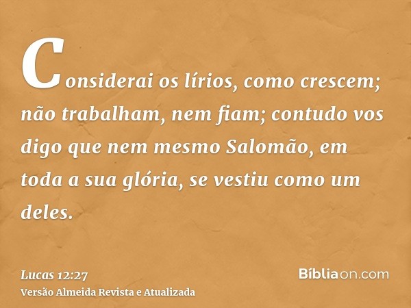 Considerai os lírios, como crescem; não trabalham, nem fiam; contudo vos digo que nem mesmo Salomão, em toda a sua glória, se vestiu como um deles.