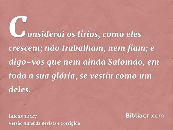 Considerai os lírios, como eles crescem; não trabalham, nem fiam; e digo-vos que nem ainda Salomão, em toda a sua glória, se vestiu como um deles.
