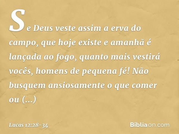 Se Deus veste assim a erva do campo, que hoje existe e amanhã é lançada ao fogo, quanto mais vestirá vocês, homens de pequena fé! Não busquem ansiosamente o que