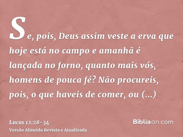 Se, pois, Deus assim veste a erva que hoje está no campo e amanhã é lançada no forno, quanto mais vós, homens de pouca fé?Não procureis, pois, o que haveis de c