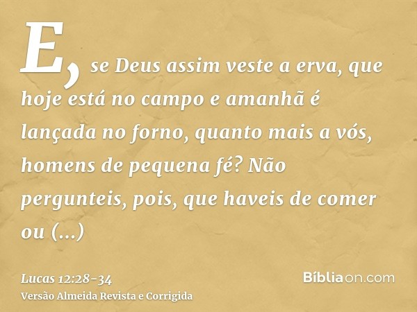 E, se Deus assim veste a erva, que hoje está no campo e amanhã é lançada no forno, quanto mais a vós, homens de pequena fé?Não pergunteis, pois, que haveis de c