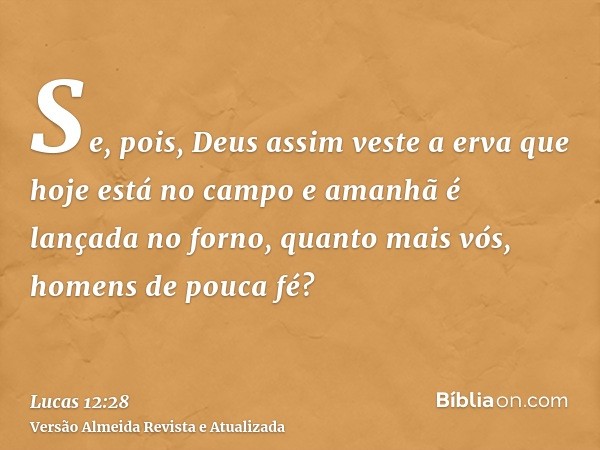 Se, pois, Deus assim veste a erva que hoje está no campo e amanhã é lançada no forno, quanto mais vós, homens de pouca fé?