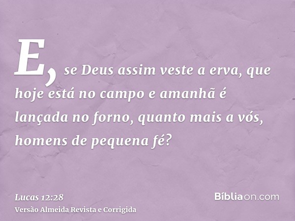 E, se Deus assim veste a erva, que hoje está no campo e amanhã é lançada no forno, quanto mais a vós, homens de pequena fé?
