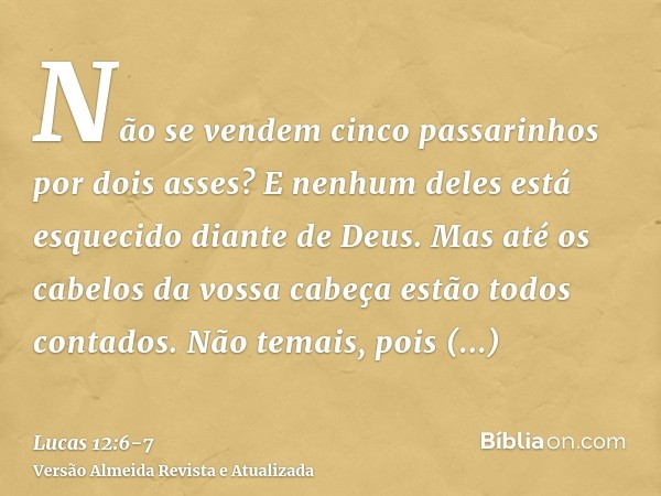 Não se vendem cinco passarinhos por dois asses? E nenhum deles está esquecido diante de Deus.Mas até os cabelos da vossa cabeça estão todos contados. Não temais