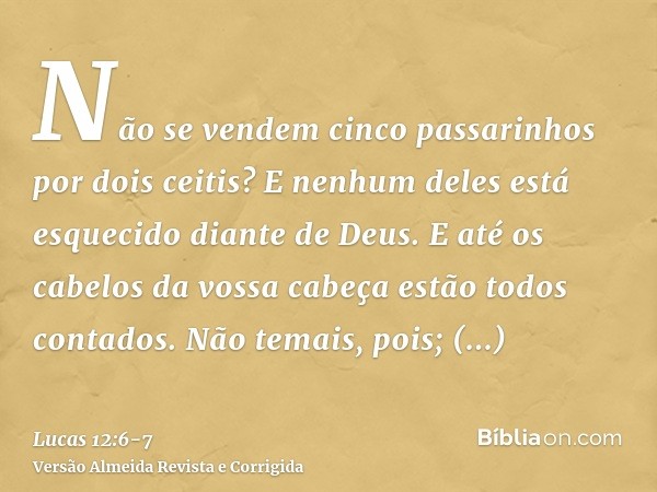 Não se vendem cinco passarinhos por dois ceitis? E nenhum deles está esquecido diante de Deus.E até os cabelos da vossa cabeça estão todos contados. Não temais,