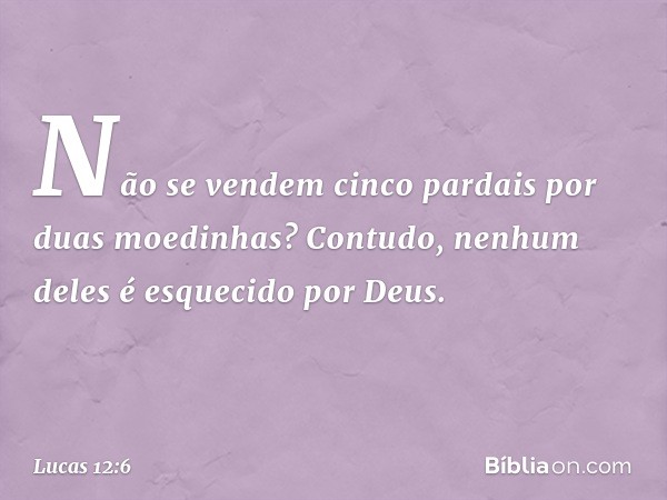 Não se vendem cinco pardais por duas moedinhas? Contudo, nenhum deles é esquecido por Deus. -- Lucas 12:6