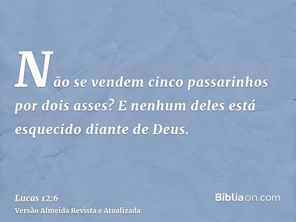 Não se vendem cinco passarinhos por dois asses? E nenhum deles está esquecido diante de Deus.