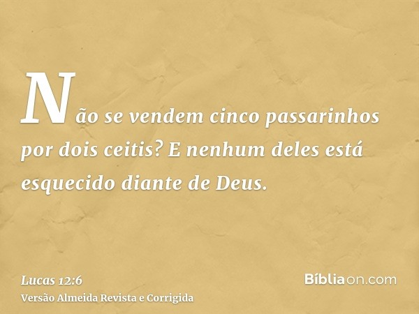 Não se vendem cinco passarinhos por dois ceitis? E nenhum deles está esquecido diante de Deus.