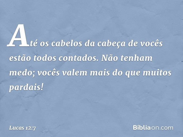 Até os cabelos da cabeça de vocês estão todos contados. Não tenham medo; vocês valem mais do que muitos pardais! -- Lucas 12:7