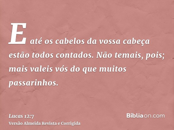 E até os cabelos da vossa cabeça estão todos contados. Não temais, pois; mais valeis vós do que muitos passarinhos.