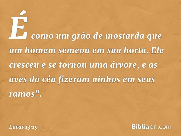 É como um grão de mostarda que um homem semeou em sua horta. Ele cresceu e se tornou uma árvore, e as aves do céu fizeram ninhos em seus ramos". -- Lucas 13:19