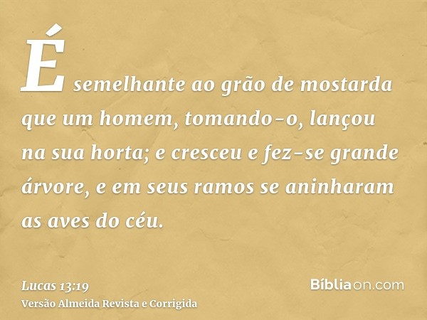É semelhante ao grão de mostarda que um homem, tomando-o, lançou na sua horta; e cresceu e fez-se grande árvore, e em seus ramos se aninharam as aves do céu.