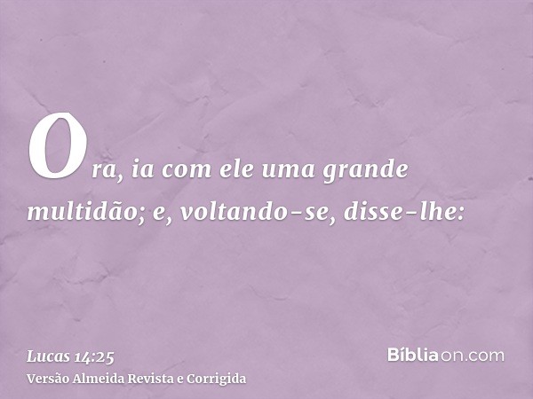 Ora, ia com ele uma grande multidão; e, voltando-se, disse-lhe: