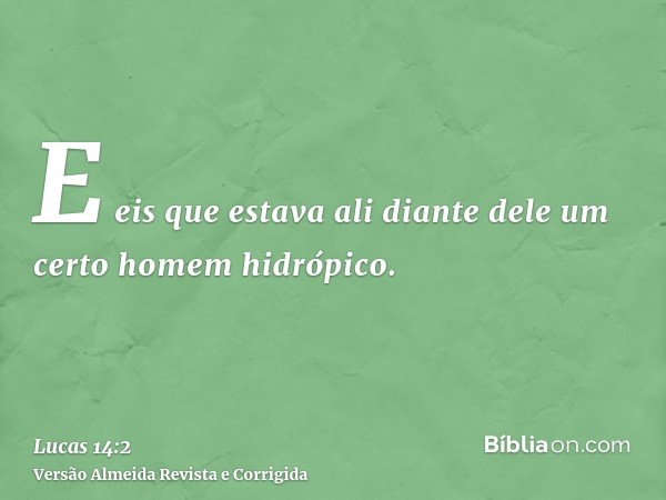 E eis que estava ali diante dele um certo homem hidrópico.