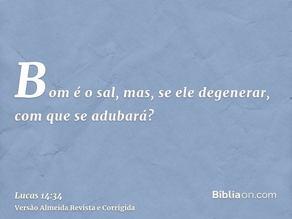 Bom é o sal, mas, se ele degenerar, com que se adubará?