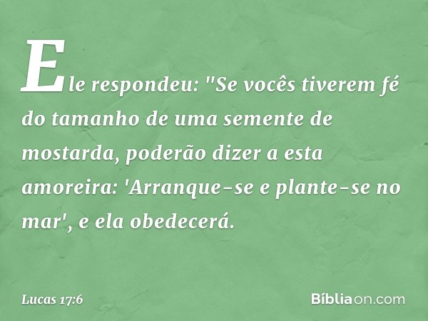 Ele respondeu: "Se vocês tiverem fé do tamanho de uma semente de mostarda, poderão dizer a esta amoreira: 'Arranque-se e plante-se no mar', e ela obedecerá. -- 